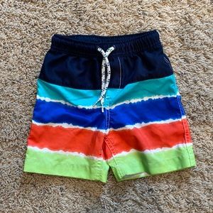Toddler swim trunks lands end